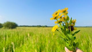 Head into the wilderness and find freedom