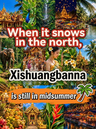 北国雪花纷飞时，西双版纳依然盛夏如初。