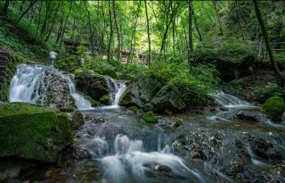 Luoyang Chongdugou: Escape to the Little Jiangnan of the North, a healing sanctuary hidden in the wild