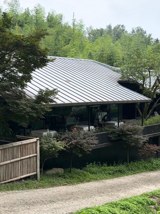 This hot spring homestay in Qingcheng Mountain really knows how to do it right! Soak in the hot spring and watch the deer