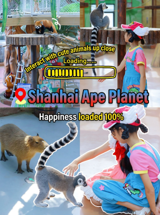 Lishui family outing: this interactive zoo is so fun my kid didn't want to leave