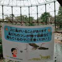 自動販売機にゾウの銅像！岩場にお正月飾り！