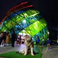 เช็คอิน ที่เที่ยวสุด "ว้าว"
