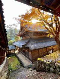 【禅の道場】大本山 永平寺