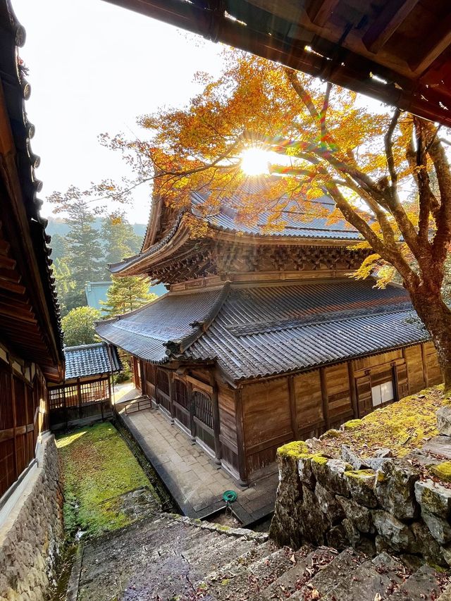 【禅の道場】大本山 永平寺