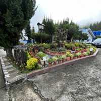 KINABALU MOUNT PEAK