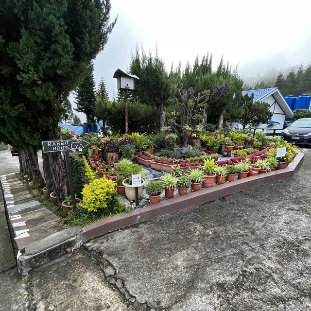 KINABALU MOUNT PEAK
