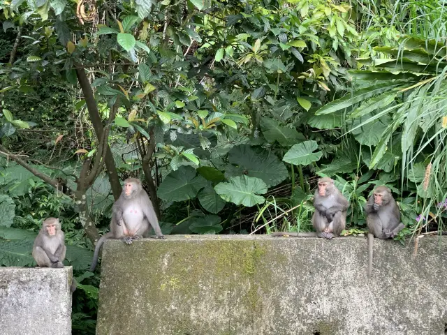 礁溪林美石磐步道