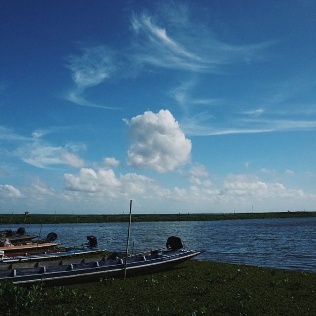 ล่องเรือ ชมธรรมชาติ ทะเลน้อย พัทลุง