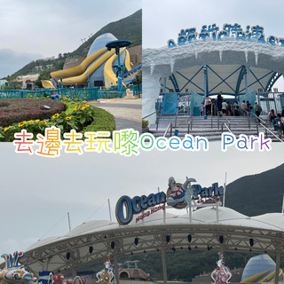 去邊去玩？🤣來香港Ocean Park。