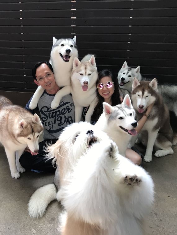 大きな）犬好きの皆さんへ!! 🐶 | Trip.com バンコク