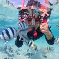ดำน้ำอ่าวแสมสารร  🐠