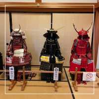 【兵庫県】日本100名城　丹波篠山城跡へ！