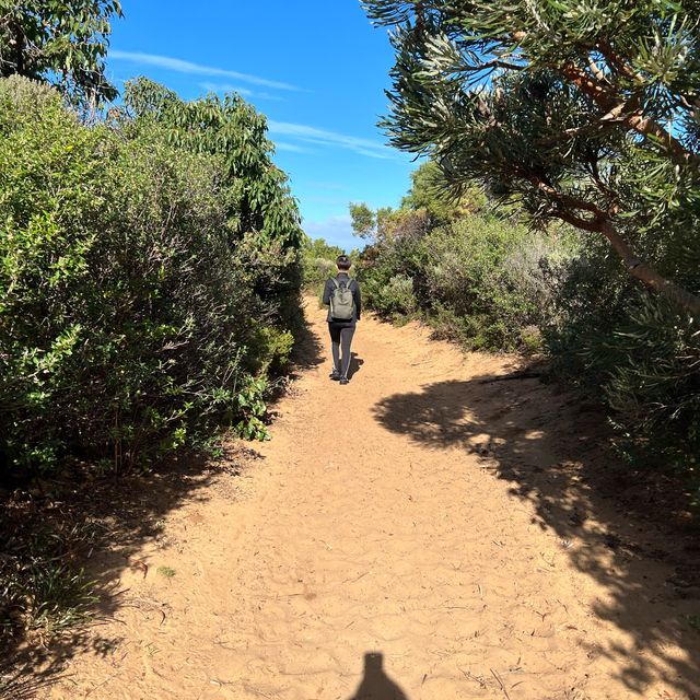 Hiking in Naturaliste Park, Margaret River 