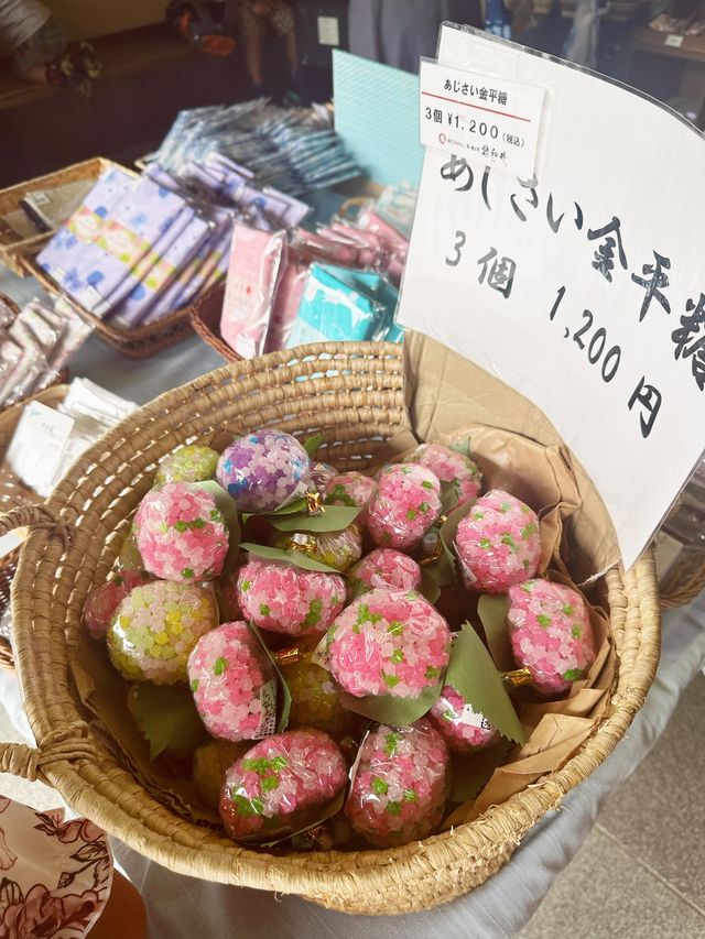 【京都】三室戸寺あじさい園