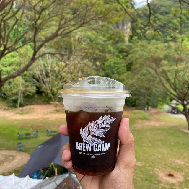 BREWCAMP SLOW CAFE’ 🌴🌿