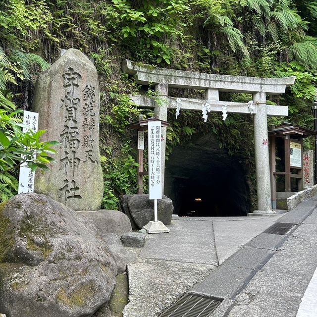 【 神奈川 / 鎌倉 】金運アップ！パワースポット💰