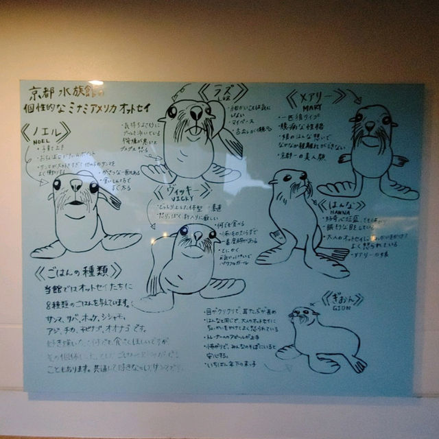 オオサンショウウオを堪能できる　京都水族館