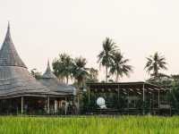 ChataThammachart | คาเฟ่สุดชิลที่มีสไตล์สุดโดดเด่น