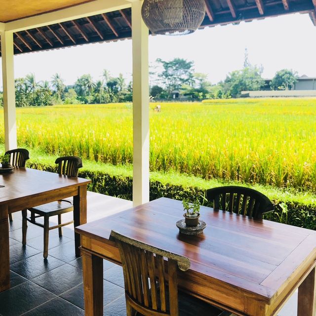 烏布田園中的平價景觀小餐廳：The Tejas Warung