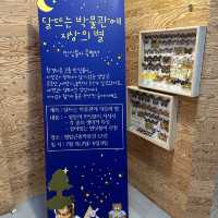아이들이 좋아하는 영암 곤충 박물관 반딧불이 특별전✨