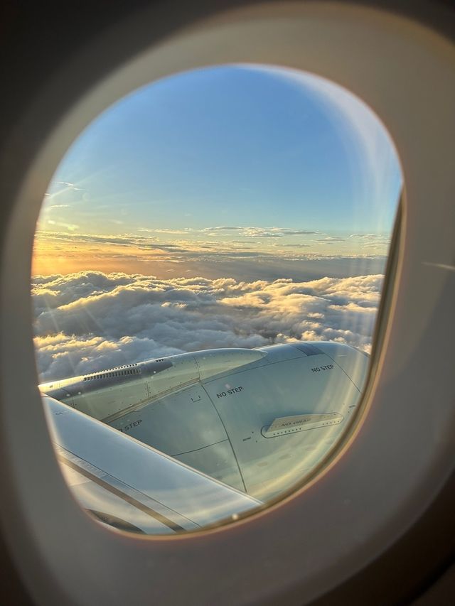 오사카 간사이 국제공항 -> 인천공항으로 ! 집으로 가는길 ✈️