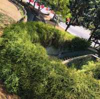 📝 福康寧公園🌳✨ 螺旋樓梯打卡位✨