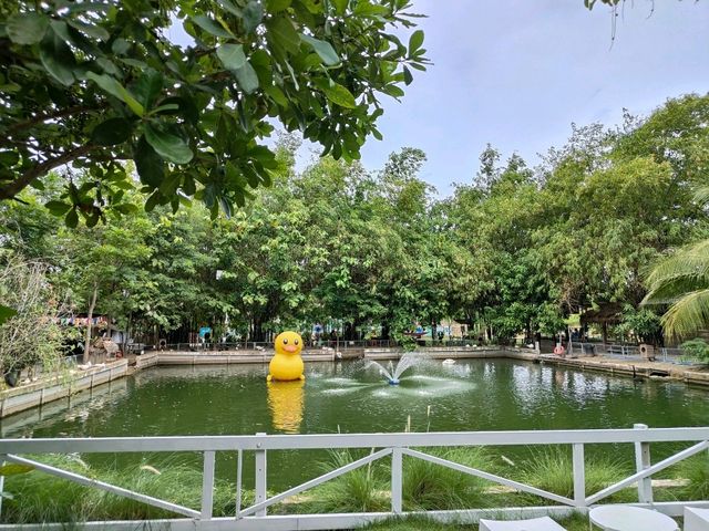 Café and Farm วิวดี ติดธรรมชาติ 