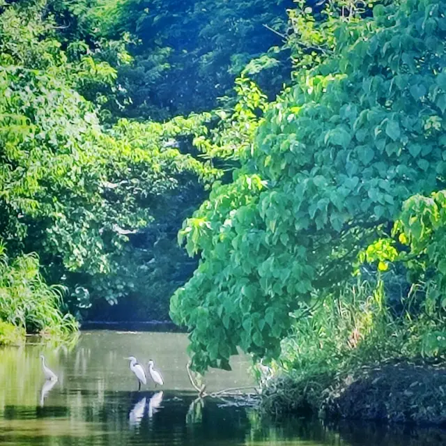 深圳東湖公園步行散策