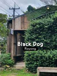 Blackdog coffeebar