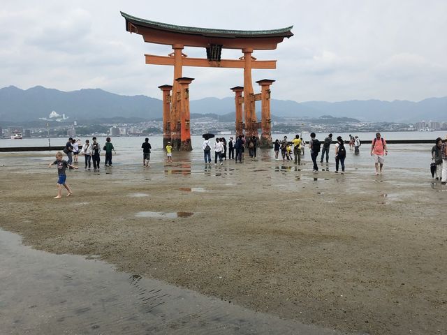 日本宮島｜必到打卡位海上大鳥居