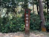 迷人的水塘與白千層，踏上城門水塘之旅