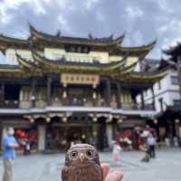 上海豫園👣穿梭在新舊建築之間感受時代的變遷