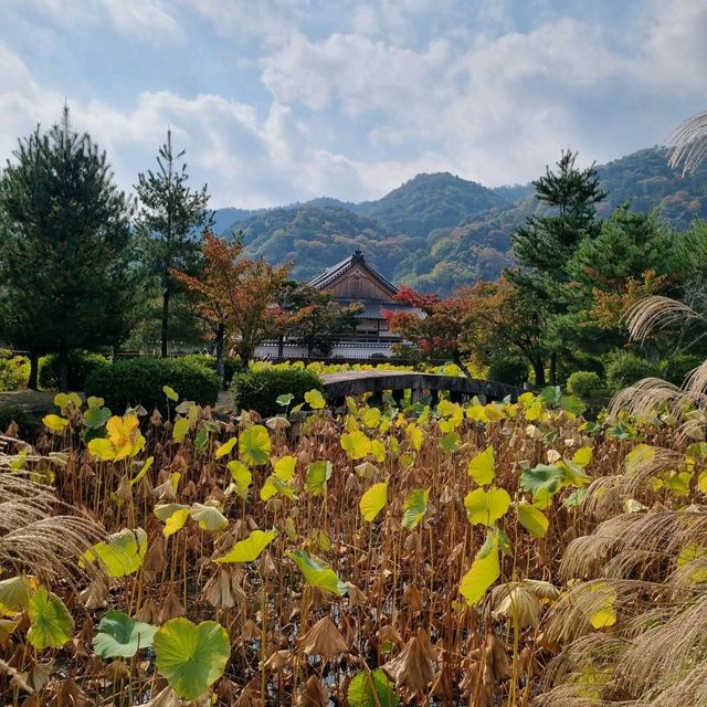 The Tenryu Ji Temple