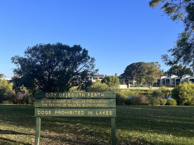 Lake Douglas, Swan Canning Riverpark😎📸🤩