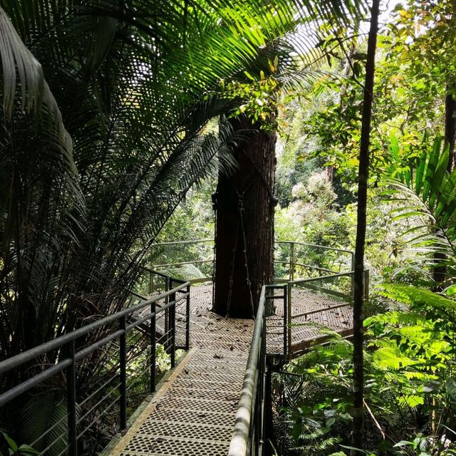 Penang Rainforest Discovery Centre