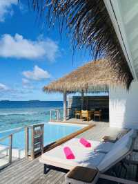 환상의 섬, 꿈의 신혼여행지인 천국 몰디브🇲🇻🏝️