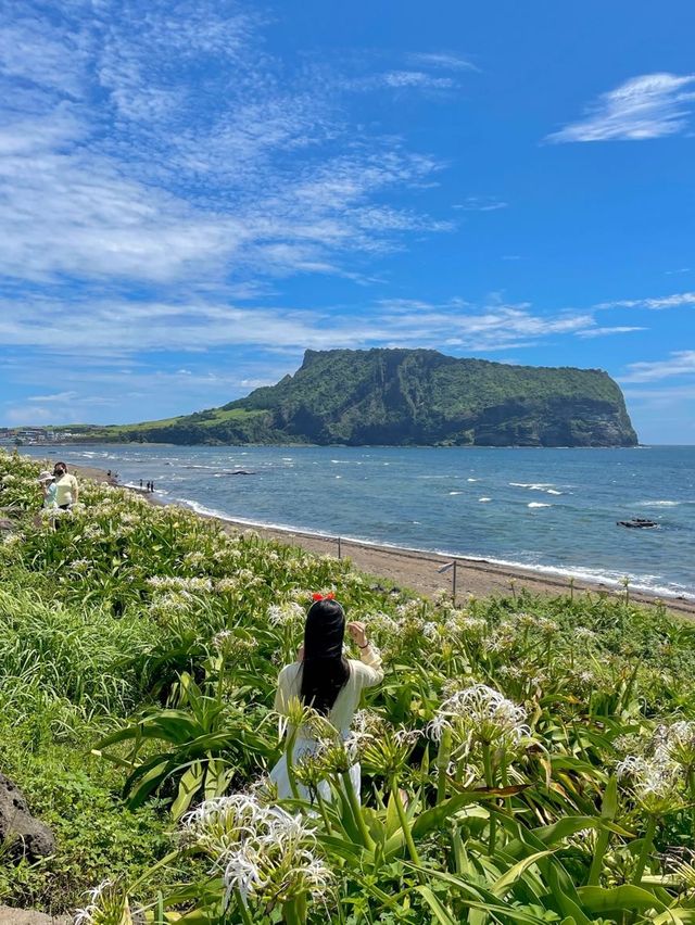 성산일출봉을 한눈에! 광치기 해변🌊