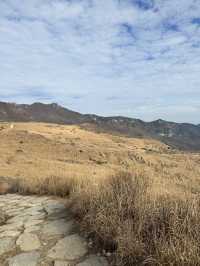 가을에는 억새느낌으로 분위기있게🌾