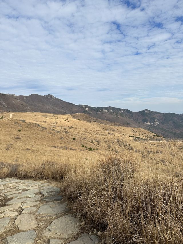 가을에는 억새느낌으로 분위기있게🌾