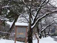 石川縣的福地-雪景遊