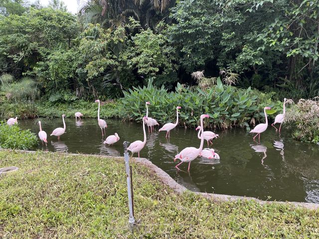 體力挑戰遊台北動物園