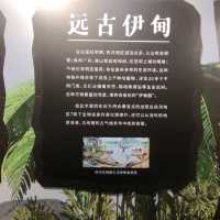 打卡深圳歷史民俗館化石展☞重返白堊紀