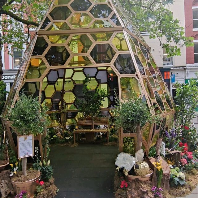 曼徹斯特花市