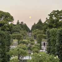【横浜】夕方みなとみらい散歩・山下公園を散策