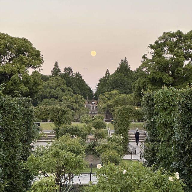 【横浜】夕方みなとみらい散歩・山下公園を散策
