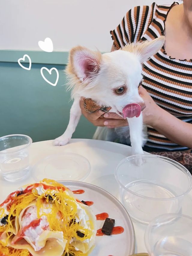 🚘 พาไปกินไอศกรีมร้านเด็ด ที่คาเฟ่ลำพูน 🥰