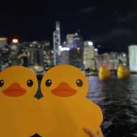 第一次登上 #天星鴨仔團🐤🐤 出發睇鴨仔！