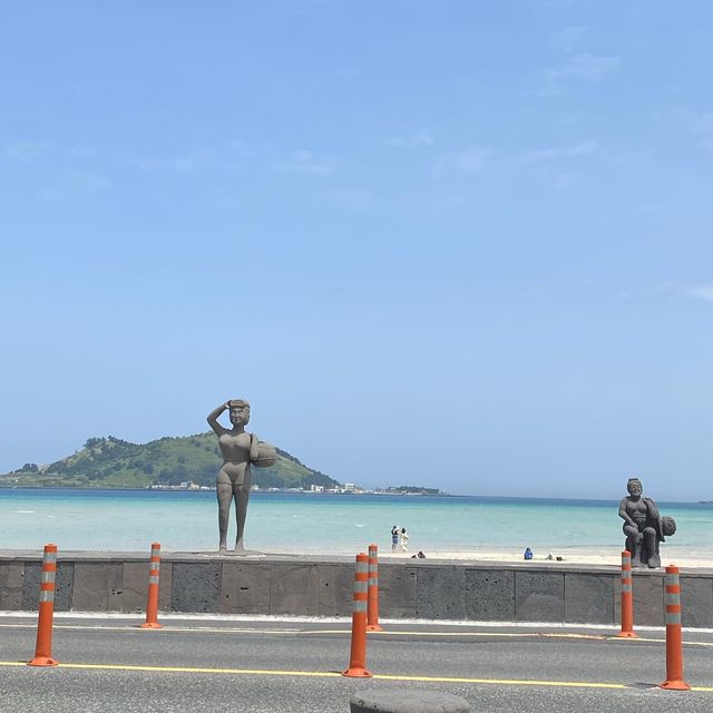 야자수가 드리운 얕은 해변 금능해수욕장🌴🌊