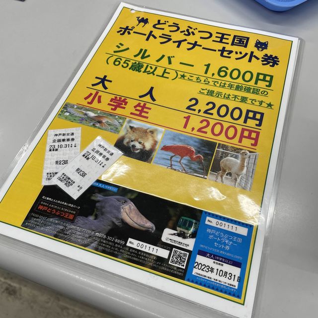 【動物全接觸】神戶動物王國🦚